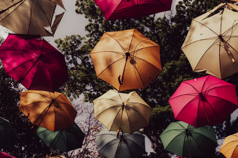 When Does Your Growing Business Need a Fractional General Counsel?